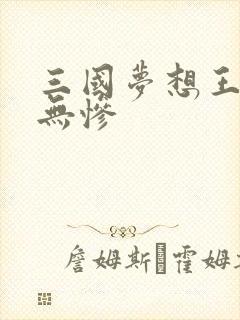 三国梦想王元姬无惨封面