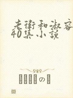 老卫和淑容1-40集小说封面