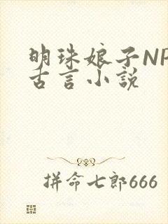 明珠娘子NPC古言小说