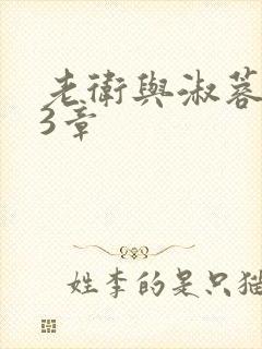 老卫与淑蓉第13章