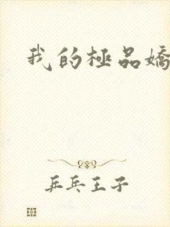 我的极品娇妻