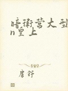 暗卫营大型hpn皇上封面