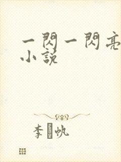 一闪一闪亮星星小说