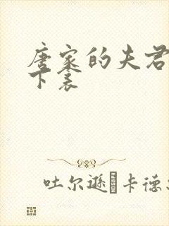 唐家的夫君们帘下衾封面