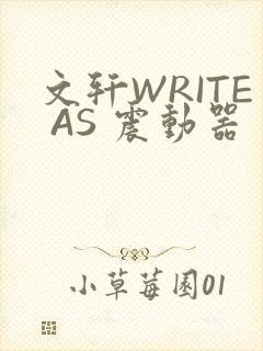 文轩WRITE AS 震动器