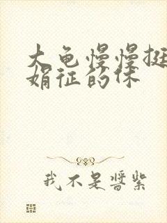 大龟慢慢挺进张娟征的休