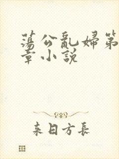 荡公乱妇第51章小说