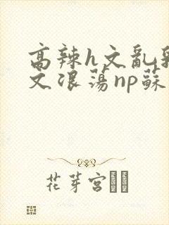 高辣h文乱乳h文浪荡np苏夏