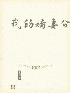 我的娇妻公务员