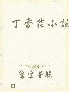 丁香花小说
