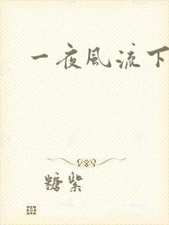 一夜风流下载