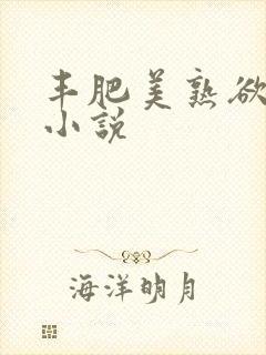 丰肥美熟欲妇乱小说封面