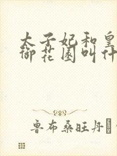 太子妃和皇帝在御花园叫什么小说