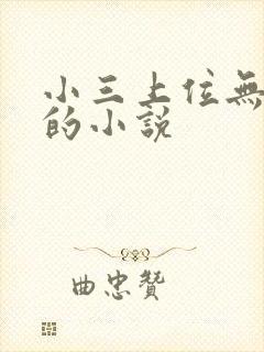 小三上位无三观的小说