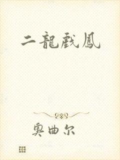 二龙戏凤