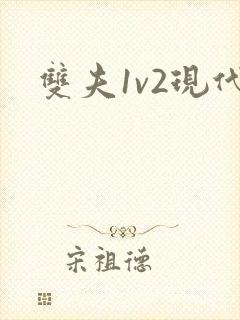 双夫1v2现代