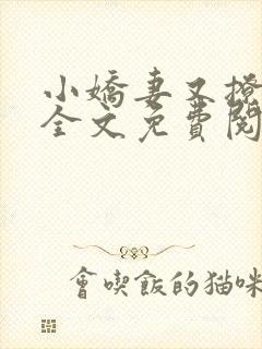 小娇妻又撩又甜全文免费阅读