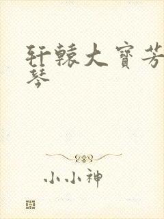 轩辕大宝芳菲雅琴