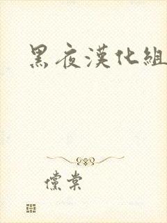 黑夜汉化组