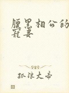 腹黑相公的庶女宠妻