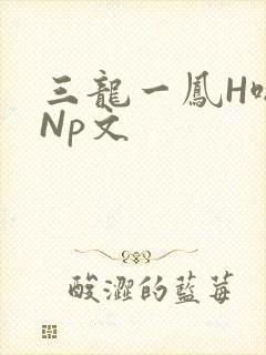 三龙一凤H啪肉Np文