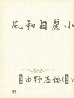 风和日丽小说封面