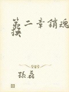 第二章销魂的交换