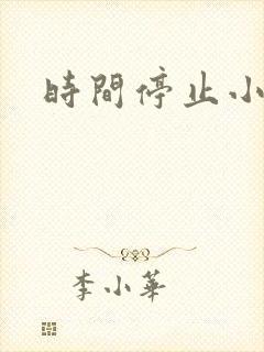 时间停止小说