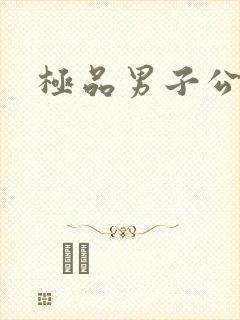 极品男子公寓封面