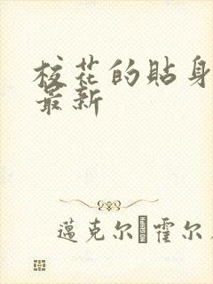 校花的贴身高手最新