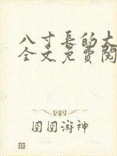 八寸长的大宝贝全文免费阅读封面
