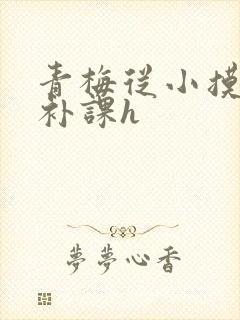 青梅从小摸到大补课h
