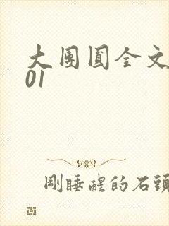 大团圆全文阅读01封面