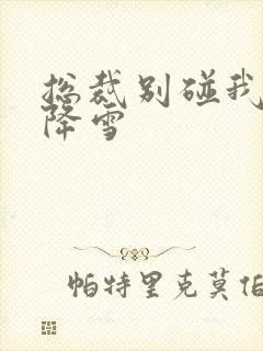 总裁别碰我 韩降雪封面