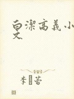 白洁高义小说全文