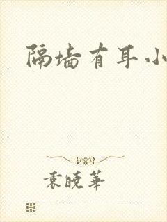 隔墙有耳小说封面