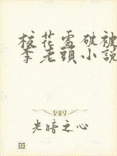 校花处破被灌满李老头小说封面