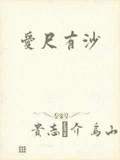 爱尺有沙封面