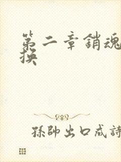 第二章销魂的交换封面