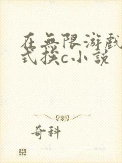 在无限游戏里花式挨c小说封面