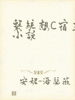 系统想C宿主的小说