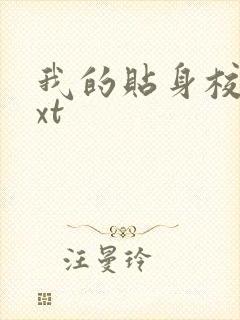 我的贴身校花txt封面