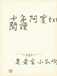 少年阿宾txt阅读封面
