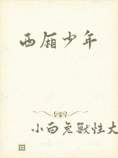 西厢少年封面