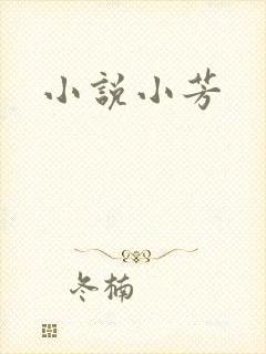 小说小芳