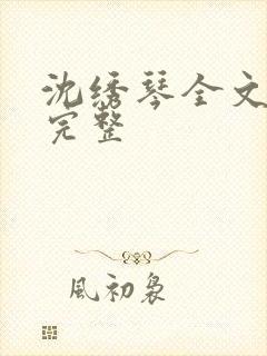 沈绣琴全文阅读完整