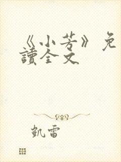 《小芳》免费阅读全文封面