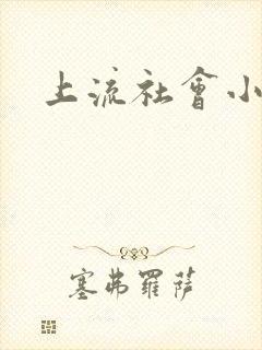 上流社会小说封面