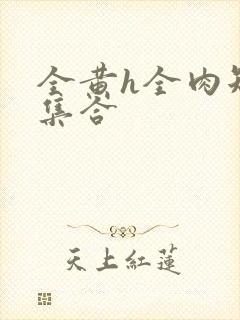 全黄h全肉短篇集合