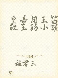 皇帝用玉笛整摄政王的小说